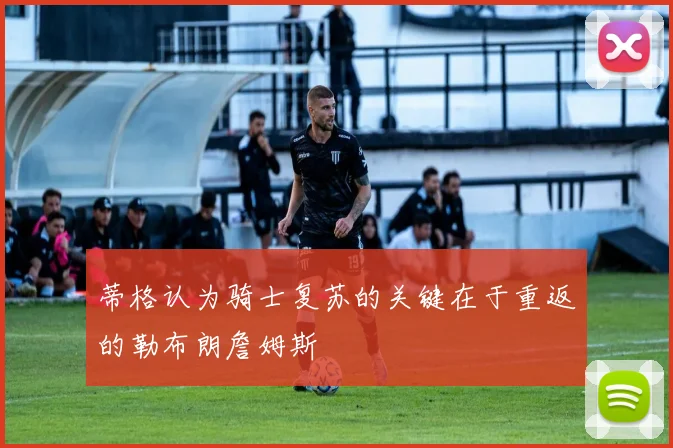 蒂格认为骑士复苏的关键在于重返的勒布朗詹姆斯
