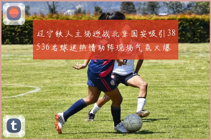 辽宁铁人主场迎战北京国安吸引38536名球迷热情助阵现场气氛火爆